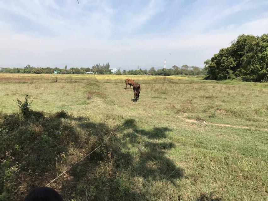 ที่ดินจังหวัด นครนายก 2
