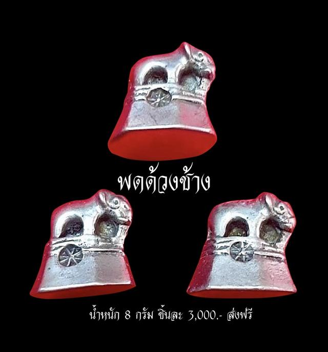 พดด้วงรูปทรงต่างๆ พดด้วงโบราณ พดด้วงช้าง พดด้วงก้นหอย ขนาด2สลึง 2