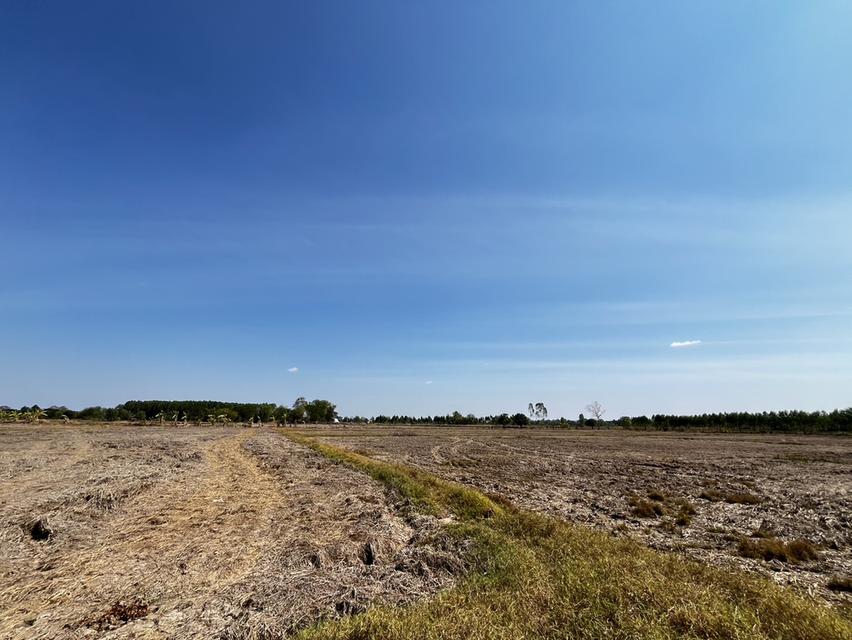 ขายที่นา ไม่ไกลจากตัวเมืองขอนแก่น 3