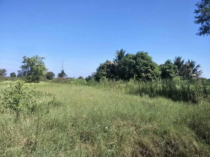 ที่ดินว่างเปล่า 4