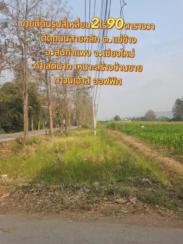 ขายที่ดินแปลงสวยรูปสี่เหลี่ยม2ไร่90ตารางวา ติดถนนสาย1147 ทำเลดีมากๆ ต.แช่ช้าง อ.สันกำแพง จ.เชียงใหม่ 1