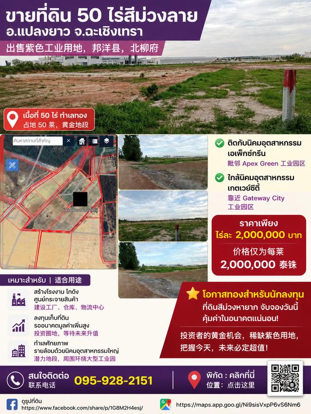ขายที่ดินผังสีม่วงลาย 1