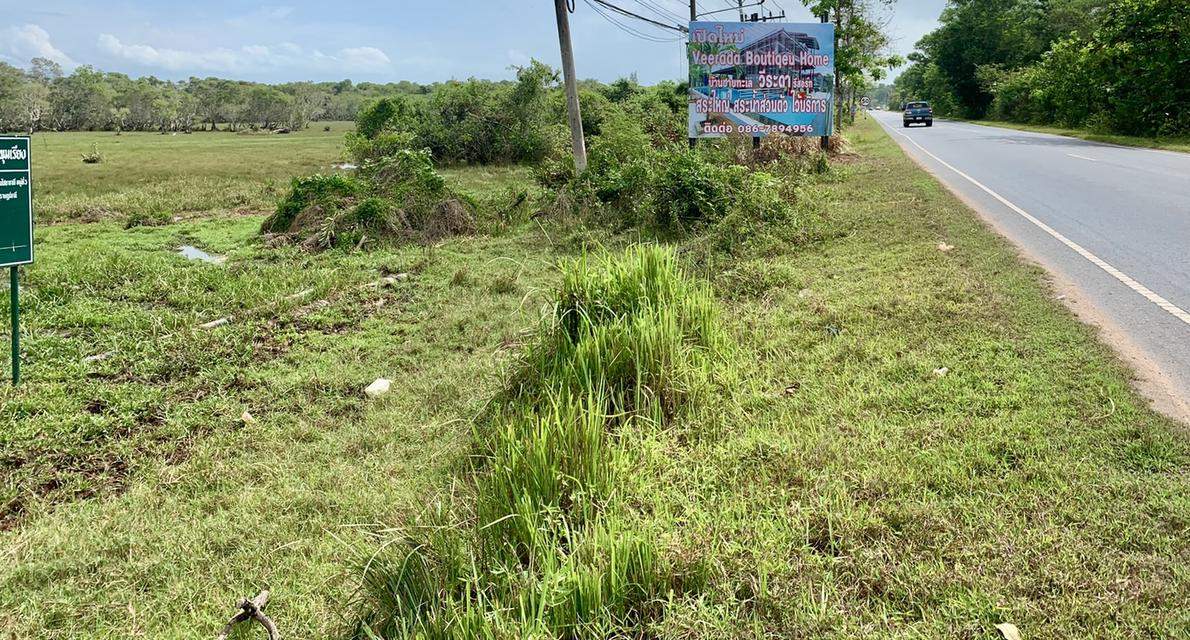 ทึ่ดินว่างเปล่าติดถนนใหญ่ 4