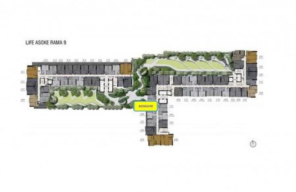 รูป ให้เช่า คอนโดLife Asoke-Rama 9 ส่วนกลางหรูหรา ห้องใหม่มาก (วิวสวนของ Hype  ไม่โดน block view ลมพัดเข้า 3 ทิศ) ใกล้ MRT R 8