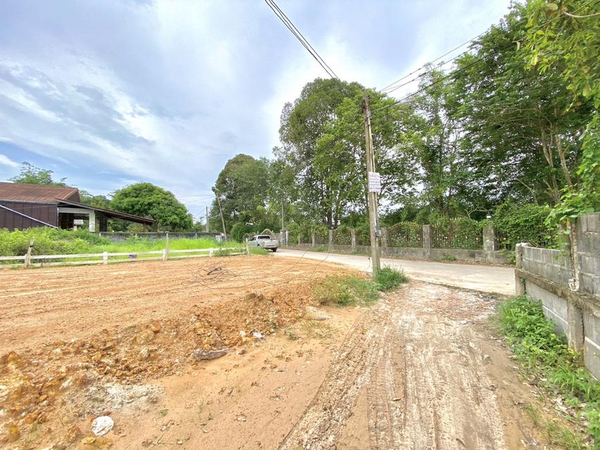 ขายที่ดินบ้านแลง 101 ตรว. ติดถนนคอนกรีตถมแล้ว ใกล้แยกบ้านแลง(ถนนเส้น36)-6กม. เมืองระยอง 6