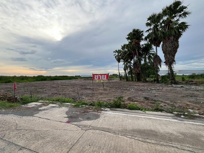 ที่ดินสวย 1-3-51 ไร่ ผังสีม่วงลาย ถนน 340 บางบัวทอง-สุพรรณบุรี บางบัวทอง นนทบุรี 1