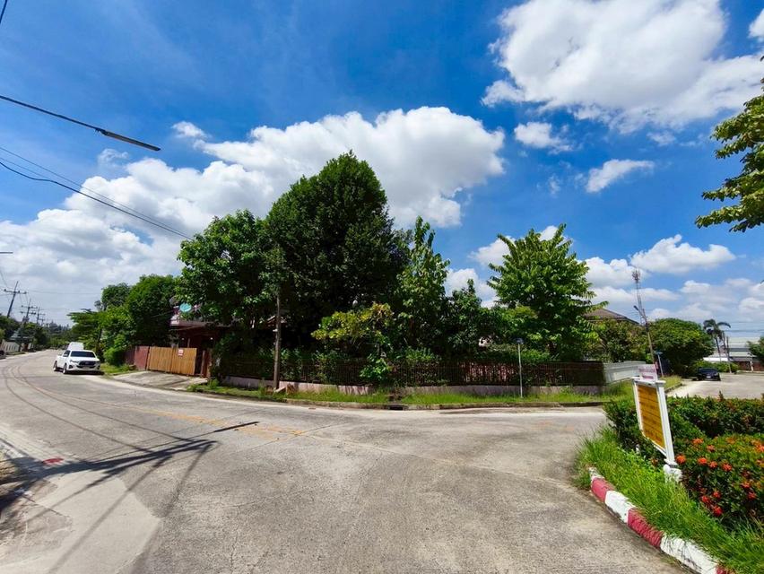 บ้านชัยพฤกษ์ บุศรินทร์ คลอง 2 ตำบลคูคต อำเภอลำลูกกา จังหวัดปทุมธานี 3