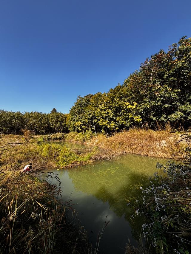 ปล่อยที่ดินเปล่าสวนเกษตร 9