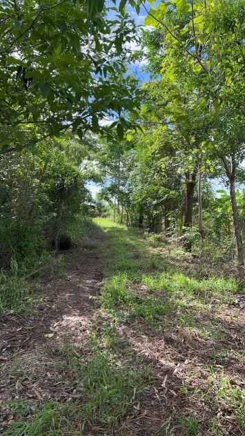 ขายที่ดินสวย 2-2-20 ไร่ ติดแม่น้ำท่าจีน หน้าติดถนนลาดยาง อ.หันคา จ.ชัยนาท 4