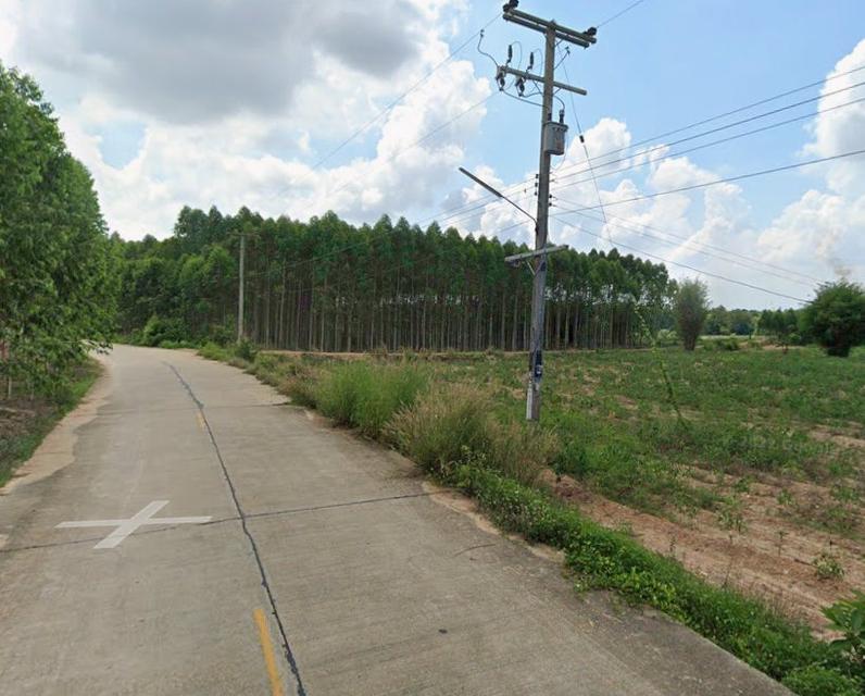 ขายที่ดินนาวังหิน 3 ไร่ ทำเลดีติดถนน2ด้าน ใกล้ถนนเส้น331-500เมตร อ.พนัสนิคม ชลบุรี 6