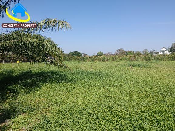 ขายที่ดินแปลงสวย 320 ตรว หมู่บ้านกฤษดานคร 25 ซอยประชาร่วมใจ 31 ทรายกองดิน มีนบุรี 4