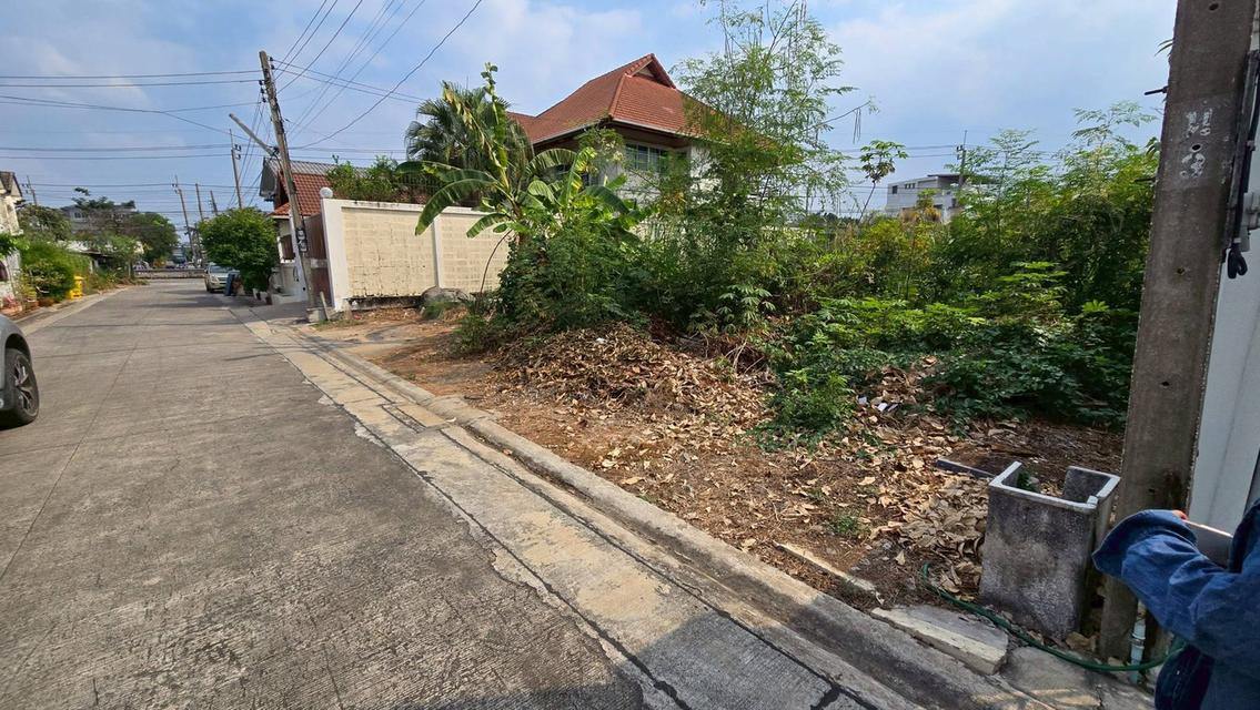 ขายด่วนที่ดินถนนเลี่ยงเมืองปากเกร็ด 96 ตรว ติดถนนสาธารณะปากเกร็ด นนทบุรี 3