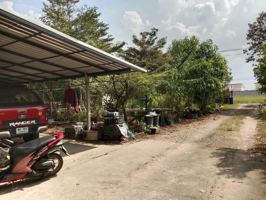 ขายบ้านสวน2ไร่ คลองหก คลองหลวง ปทุมธานี เส้นเดียวกับ ม.ราชมงคลคลองหก 18