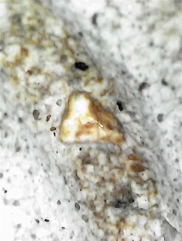 พระสมเด็จวัดระฆังพิมพ์ใหญ่เกศทะลุซุ้ม 5