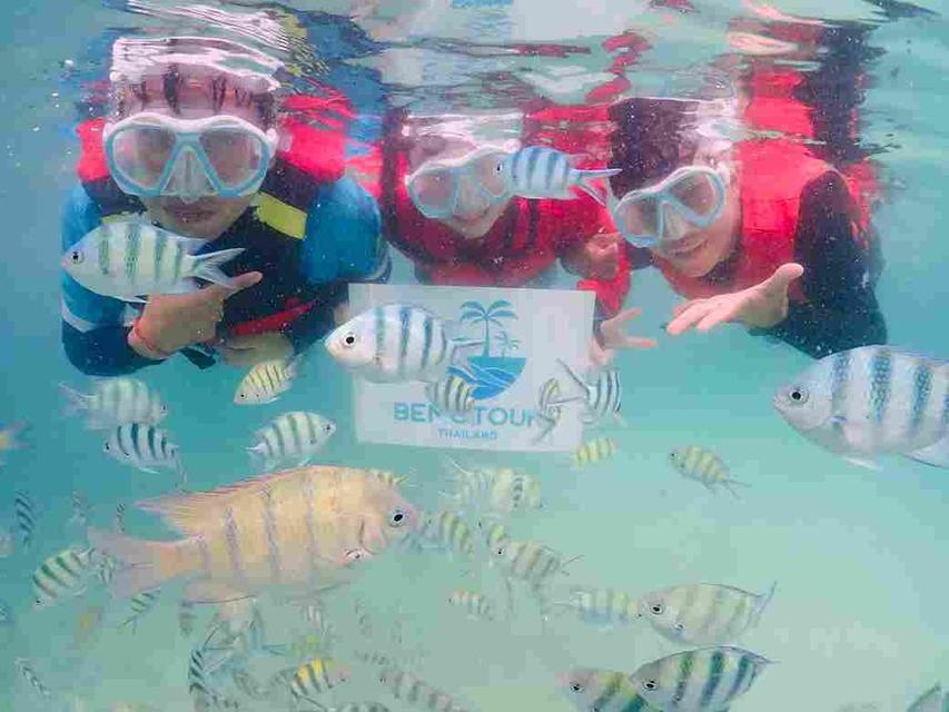 โปรแกรม SM115 ทัวร์ดำน้ำแสมสาร  One day trip ราคา 1,800 บาท รวมทุกอย่าง จาก กทม. 11