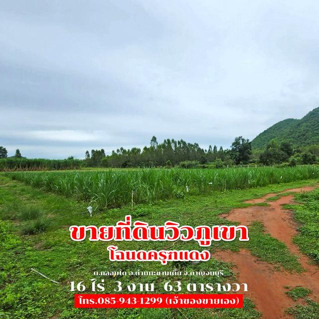 ขายที่ดิน 16 ไร่ 3 งาน 63 ตารางวา ติดถนนลาดยาง วิวภูเขา จ.กาญจนบุรี 30,000,000 บาท 10