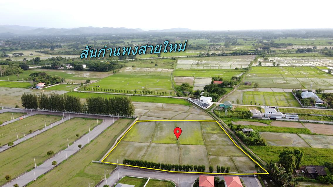  ที่นา 6-1-35.7 ไร่  ติดรั้วบ้านในฝัน ใกล้สันกำแพงสายใหม่ 600 เมตร 7