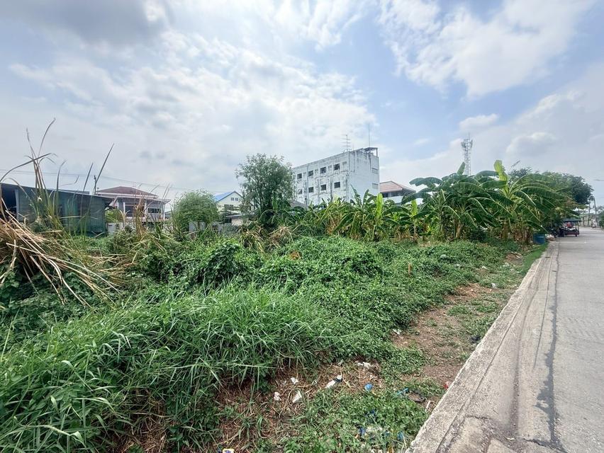 ขายด่วนที่ดินใกล้วัดแสงสรรค์ 140 ตรว ติดถนนสาธารณะ รังสิต-นครนายก 33 ธัญบุรี ปทุมธานี 10