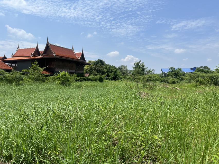 ขายที่ดิน 2 ไร่ ถมแล้ว ใกล้สนามกอล์ฟ รร.จปร. ต.พรหมณี หน้ากว้าง 40 เมตร เห็นวิวเขาชัด 14