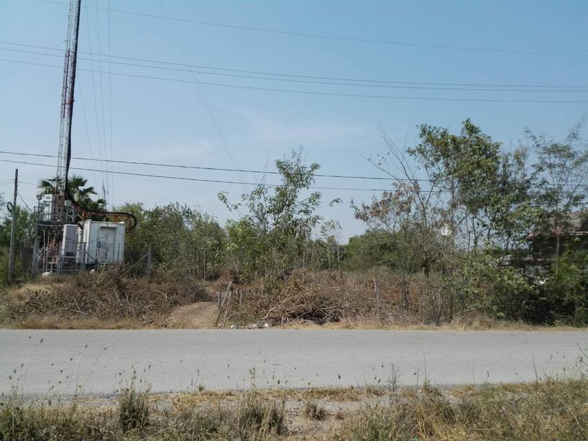 ที่ดิน ต.บัวปากท่า อ.บางเลน จ.นครปฐม 4