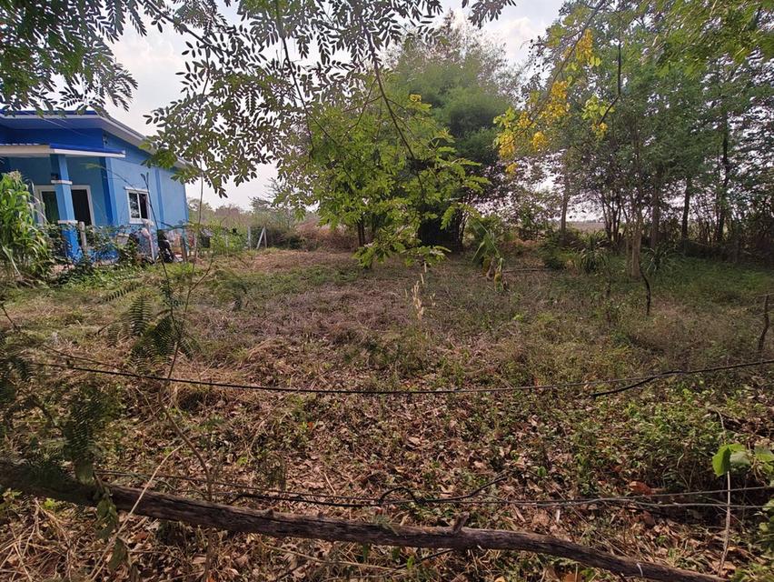 ที่ดินเปล่า ทำเลดีเดินทางสะดวก มทส. 2