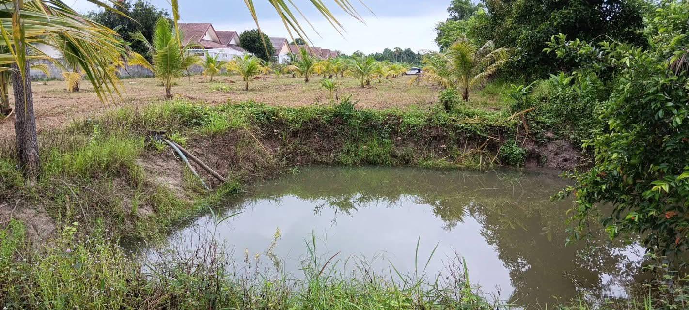 ขายที่ดินจังหวัดระยอง 4