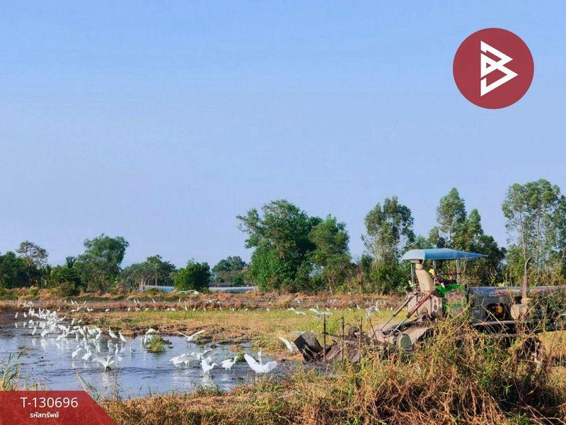 ขายที่ดิน เนื้อที่ 25 ไร่ 2 งาน 93.0 ตารางวา เมืองนครนายก 7