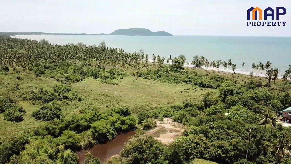โอกาสทองสำหรับนักลงทุน ที่ดินแปลงใหญ่ 65 ไร่ติดทะเลบางสะพาน 13