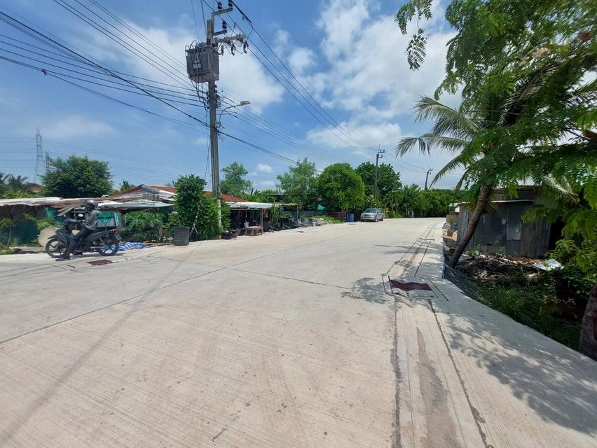 📣📣vายถูก!!! ที่ดิน 4 ไร่  ซ.ท่าข้าม (ซอยอนามัยงามเจริญ 33) พระราม 2  🚩 ตร.ว ละ  25,000 บ. 4