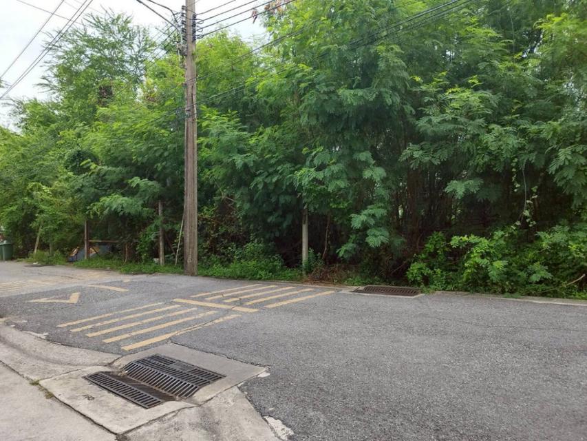 ขายที่ดิน 184 ตร.ว. ซ.คู้บอน 13 ตรงข้ามทิพย์ทอง อพาร์ทเมนท์ ใกล้ถนนคู้บอน