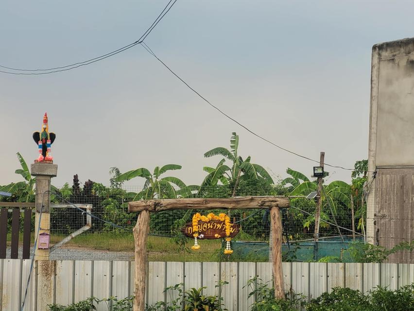 ขายที่ดินพร้อมสวน 1