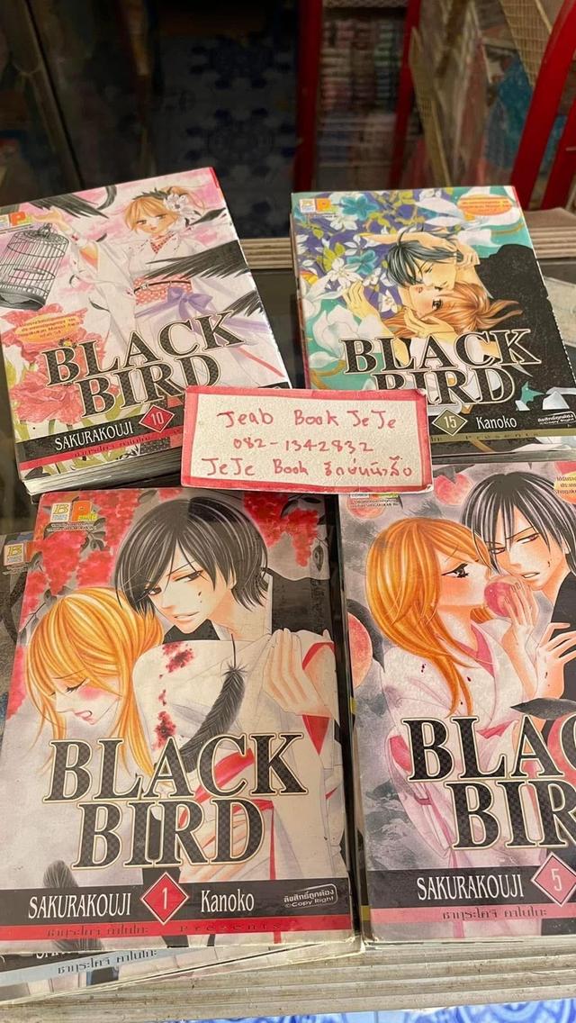 หนังสือการ์ตูน BLACK BIRD 1-18 จบ 2