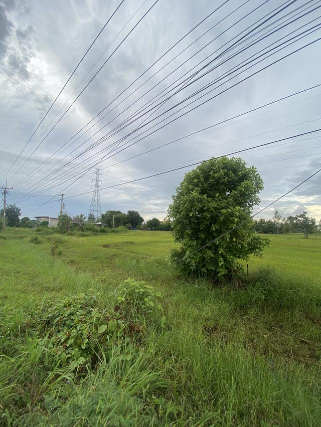 ขายที่ดิน 2 แปลงติดกัน เนื้อที่รวมกัน 4-3-21.6 ไร่ 4