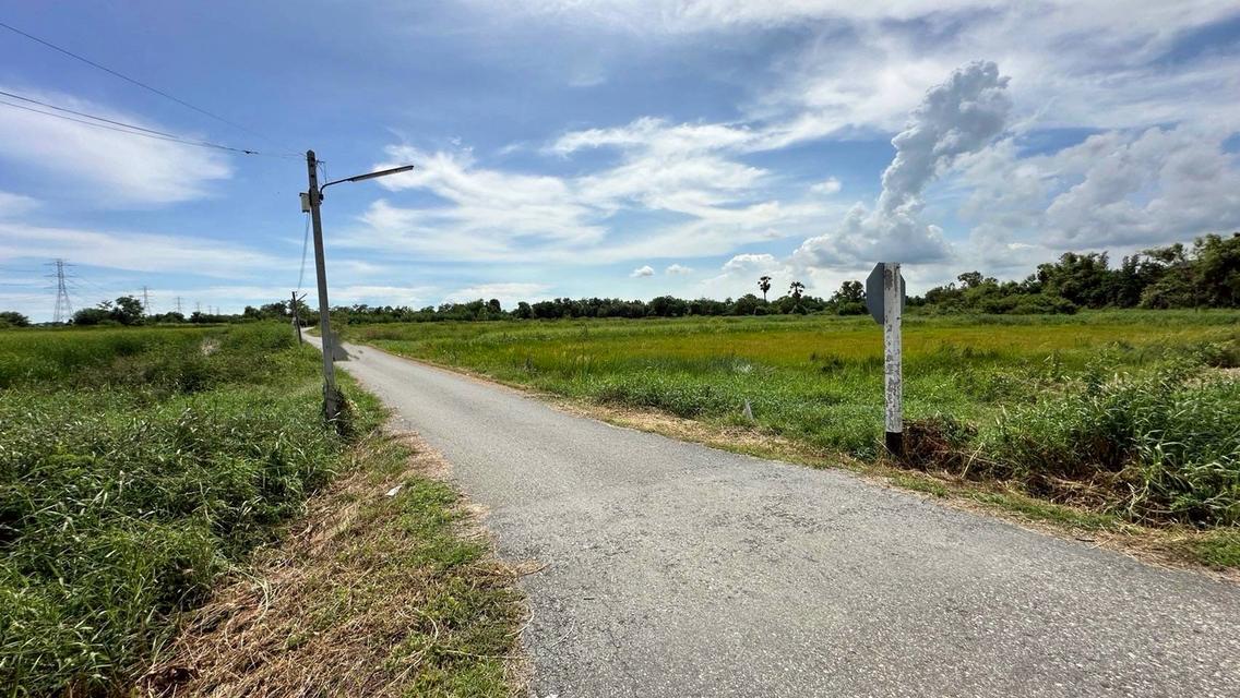 ขายที่ดินเปล่า เนื้อที่ 55-3-36 ไร่ ถนนศุขประยูร ตำบลหนองตีนนก อำเภอบ้านโพธิ์ จังหวัดฉะเชิงเทรา 5