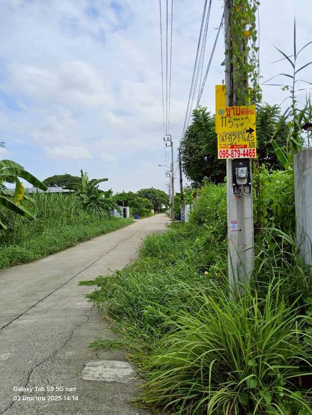 ขายที่ดินพุทธมณฑลสายสอง 113 ตรว ติดถนนคอนกรีตสาธารณะ ถมแล้ว  ซ.11 ภาษีเจริญ กทม. 1