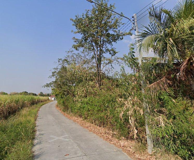 ขายที่ดินหนองหงษ์ 2 ไร่ ติดถนนคอนกรีต ใกล้ถนนเส้นชบ.3023-200เมตร อ.พานทอง ชลบุรี 5