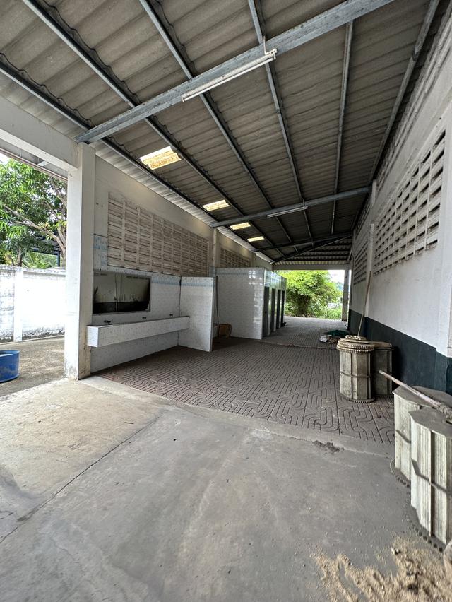 ขายโรงงาน ขนาด 3.52ไร่ 4