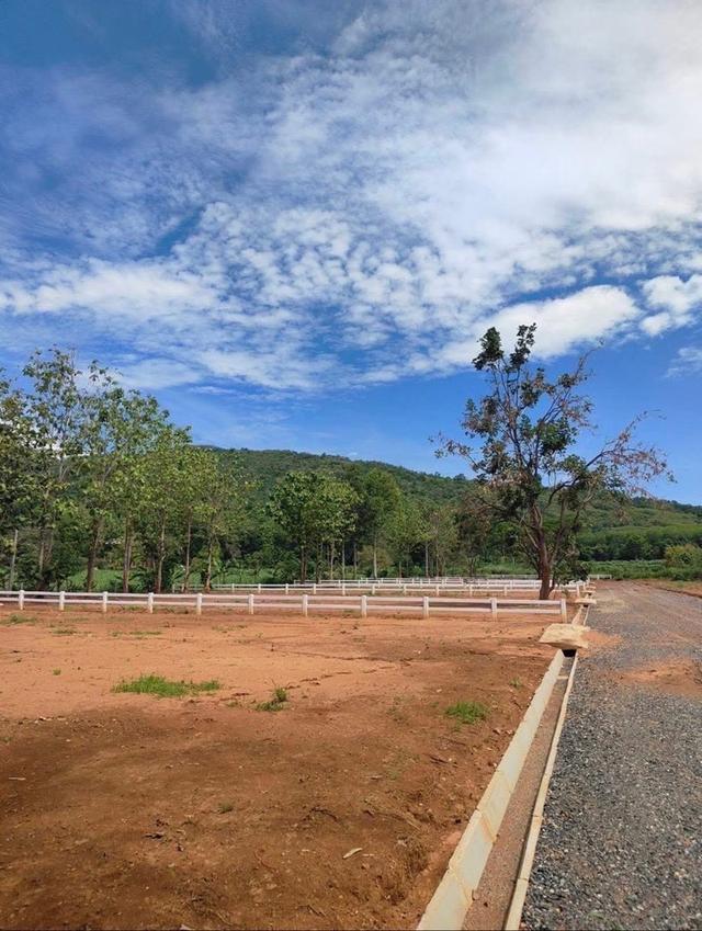 THE HILL KHAO YAI แปลงละ 1 ไร่ ตำบล หมูสี อำเภอปากช่อง นครราชสีมา 15