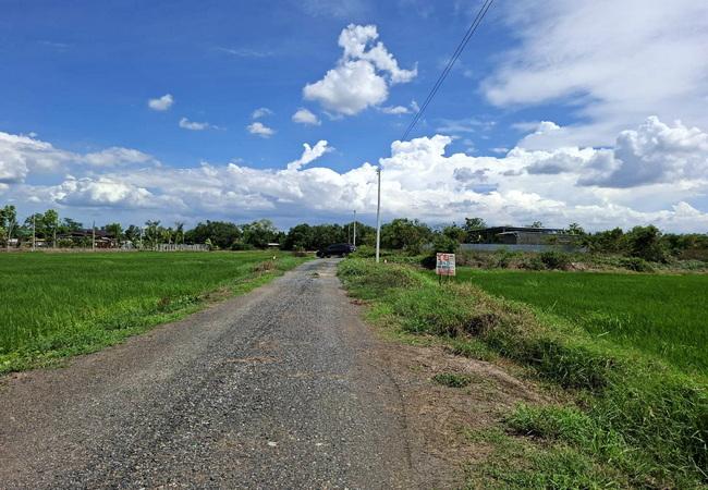 ขายที่ดิน คลอง 6 หนองเสือ ถนนเลียบคลองหก อำเภอคลองหลวง ปทุมธานี เนื้อที่ 2 ไร่ 3