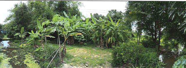 🌿 ขายที่ดินแปลงใหญ่ ติดถนนคลองเก้า เขตหนองจอก กรุงเทพมหานคร 4