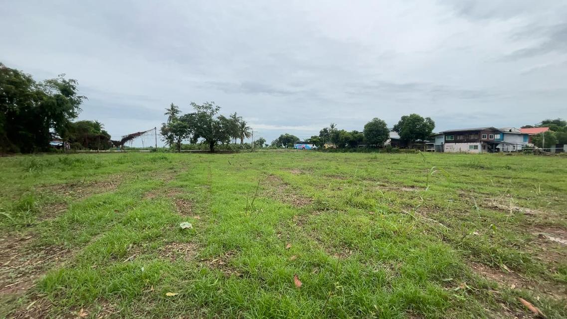 ที่ดินนครสวรรค์ ติดแม่น้ำน่าน 6 ไร่ ทำเลดี 2