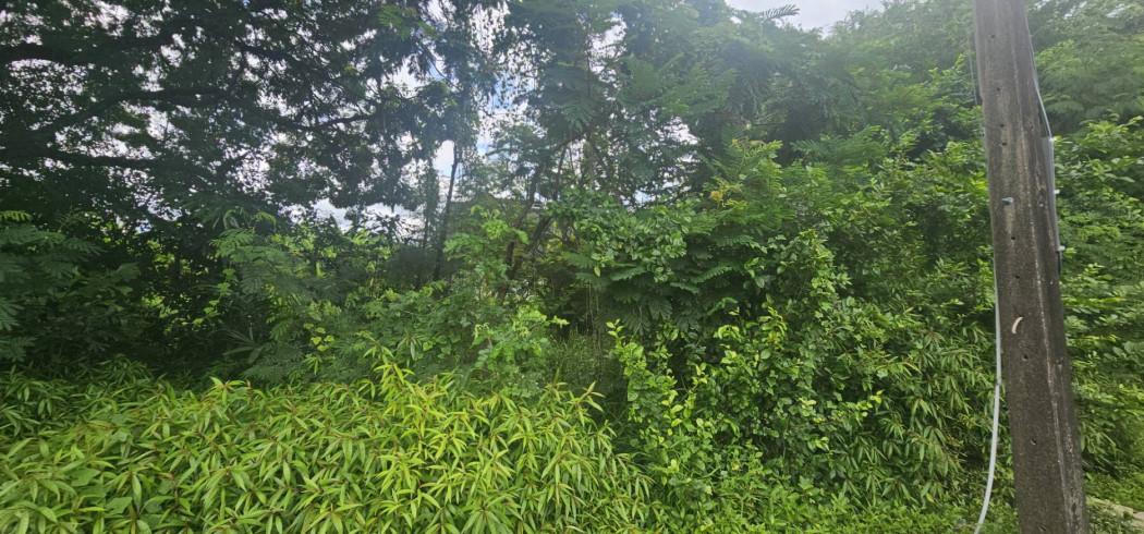 ขายที่ดิน 200 ตร.ว. หมู่บ้านเอื้อสุข พัฒนาการ 58 ซอย 6 ใกล้ถนนศรีนครินทร์ 4