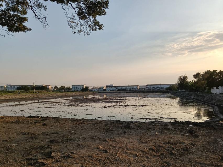 ขายที่ดิน 2 แปลง บางบัวทอง ติดหมู่บ้านเมืองทองธานี 7