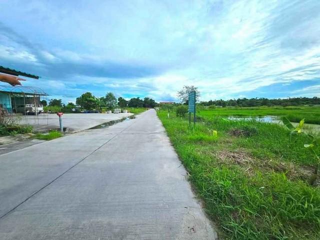 ขายที่ดินพานทองราคาถูก หนองหงษ์ พานทอง ชลบุรี บนเนื้อที่ 10 ไร่ ใกล้นิคมอมตะนคร 6