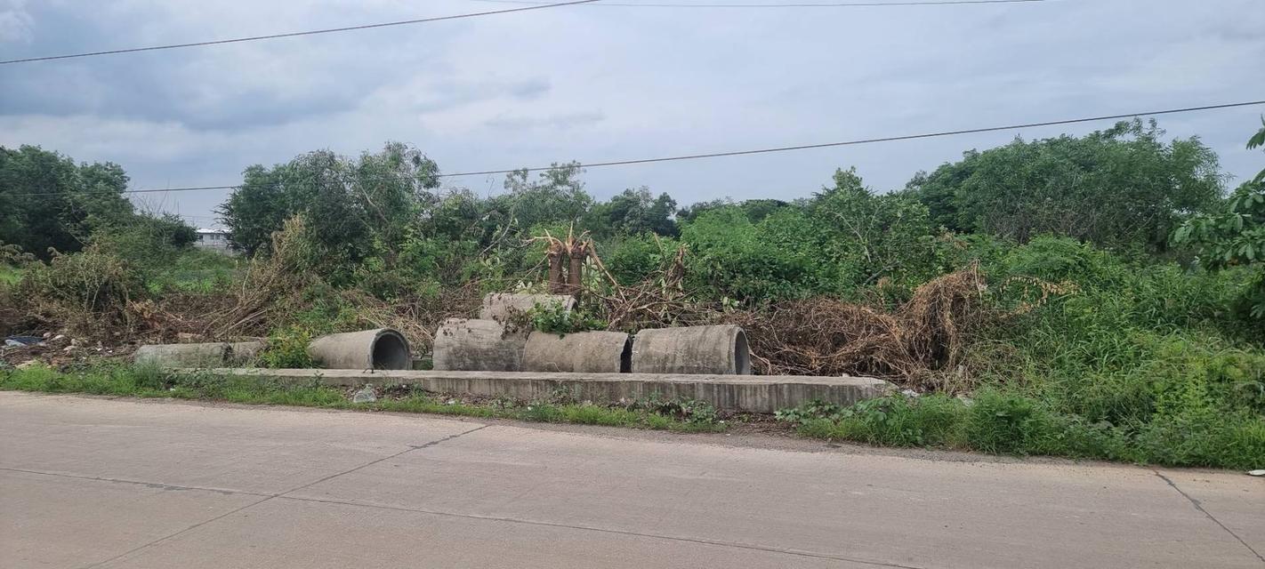 ขายที่ดิน ลำลูกกา คลอง 6 ปทุมธานี 7