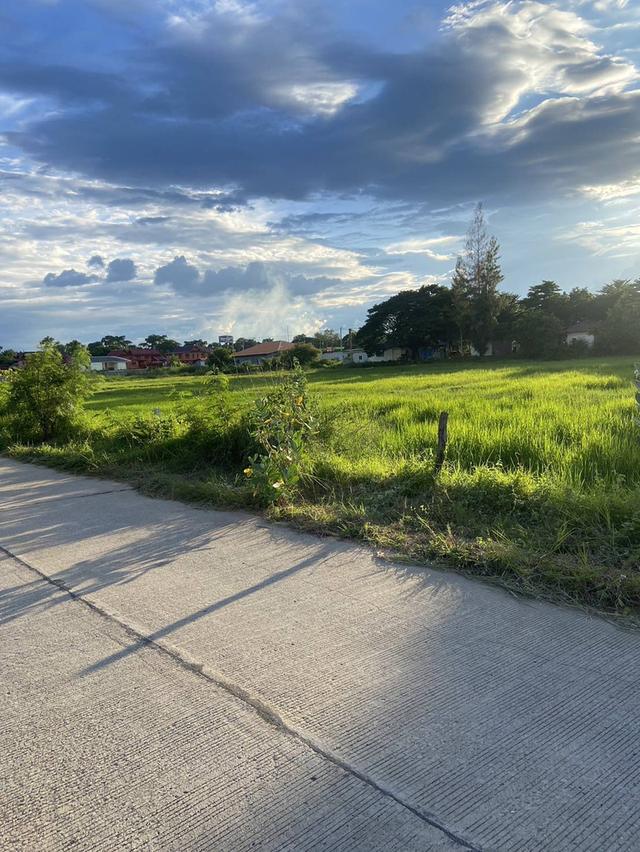 ขายที่ดินแปลงสวยๆเขตเทศบาล อ.โนนศิลา จ.ขแนแก่น 3