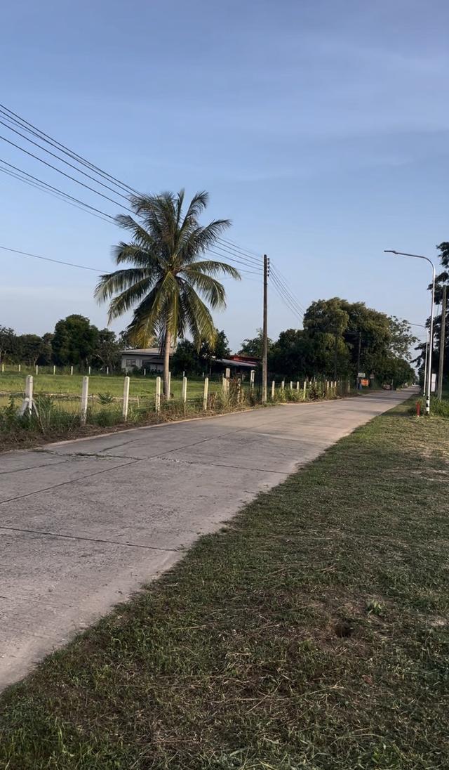 ขายที่ดิน1ไร่ ต.หนองกี่ อ.กบินทร์บุรี ติดถนนคอนกรีตรอบแปลง มีไฟฟ้า น้ำ 1