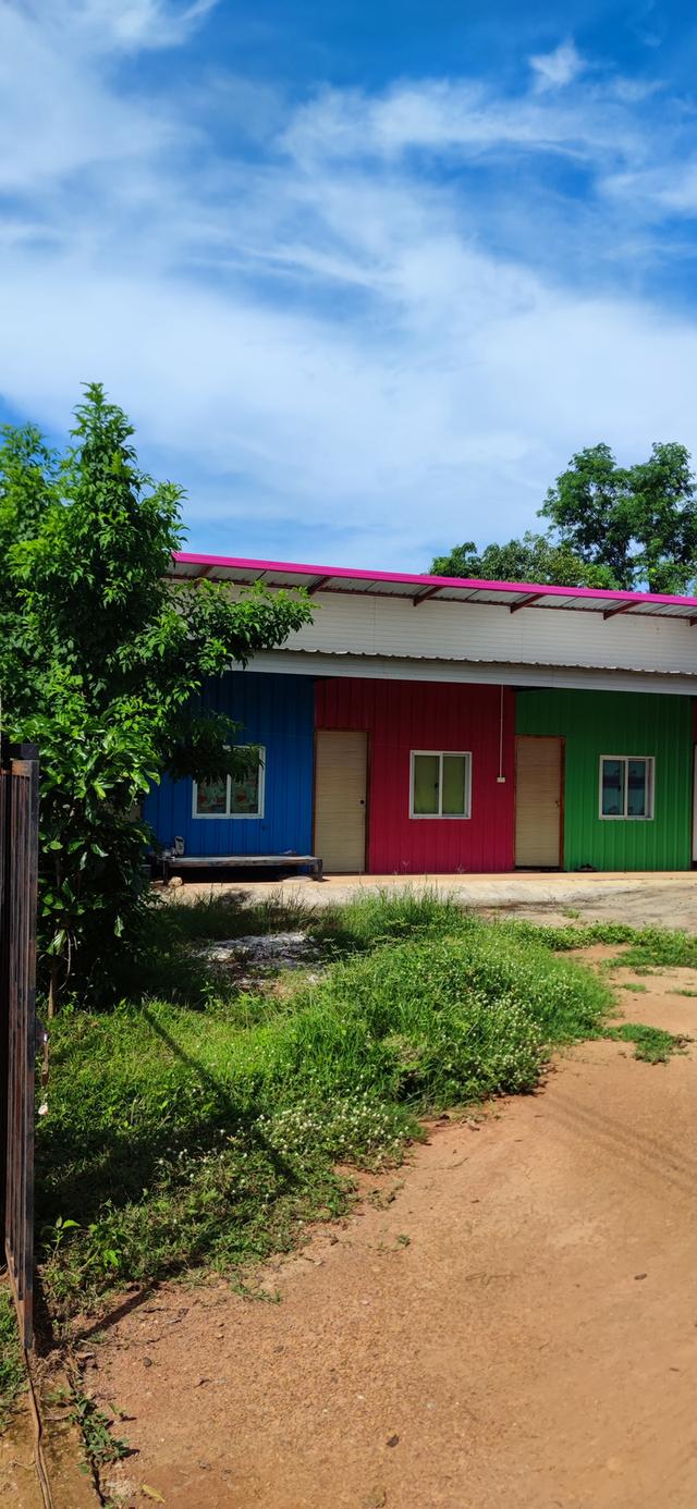 บ้านสวนและที่ดินเปล่า 2