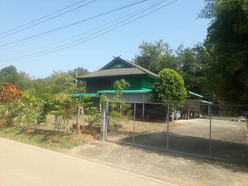ขายบ้านพร้อมที่ดิน บ้านไม้สัก