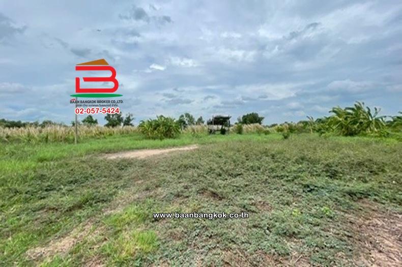 ที่ดินเปล่า เนื้อที่ 1-0-22 ไร่ ใกล้วัดประยงค์กิตติวนาราม ถนนประชาสำราญ แขวงคลองสิบสอง เขตหนองจอก 4